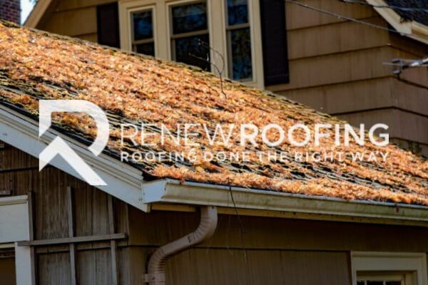 Let’s Get That Roof Replacement Done In The Fall, 4 Pack-Style!