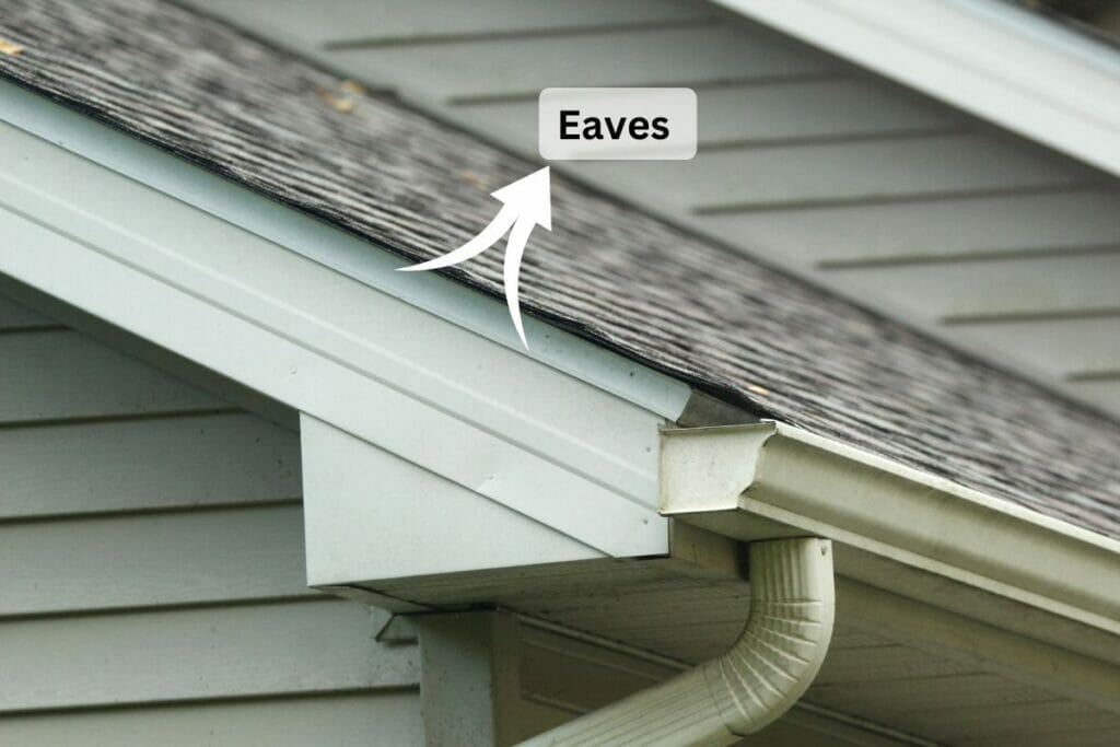 Eaves