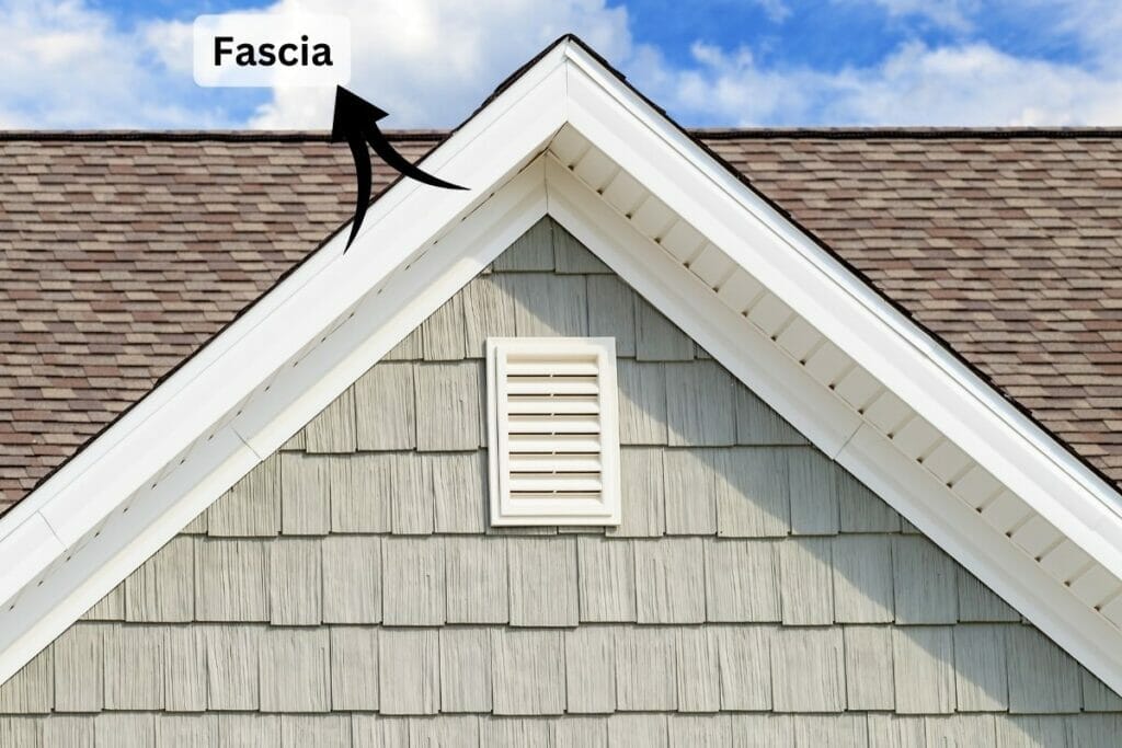 Fascia